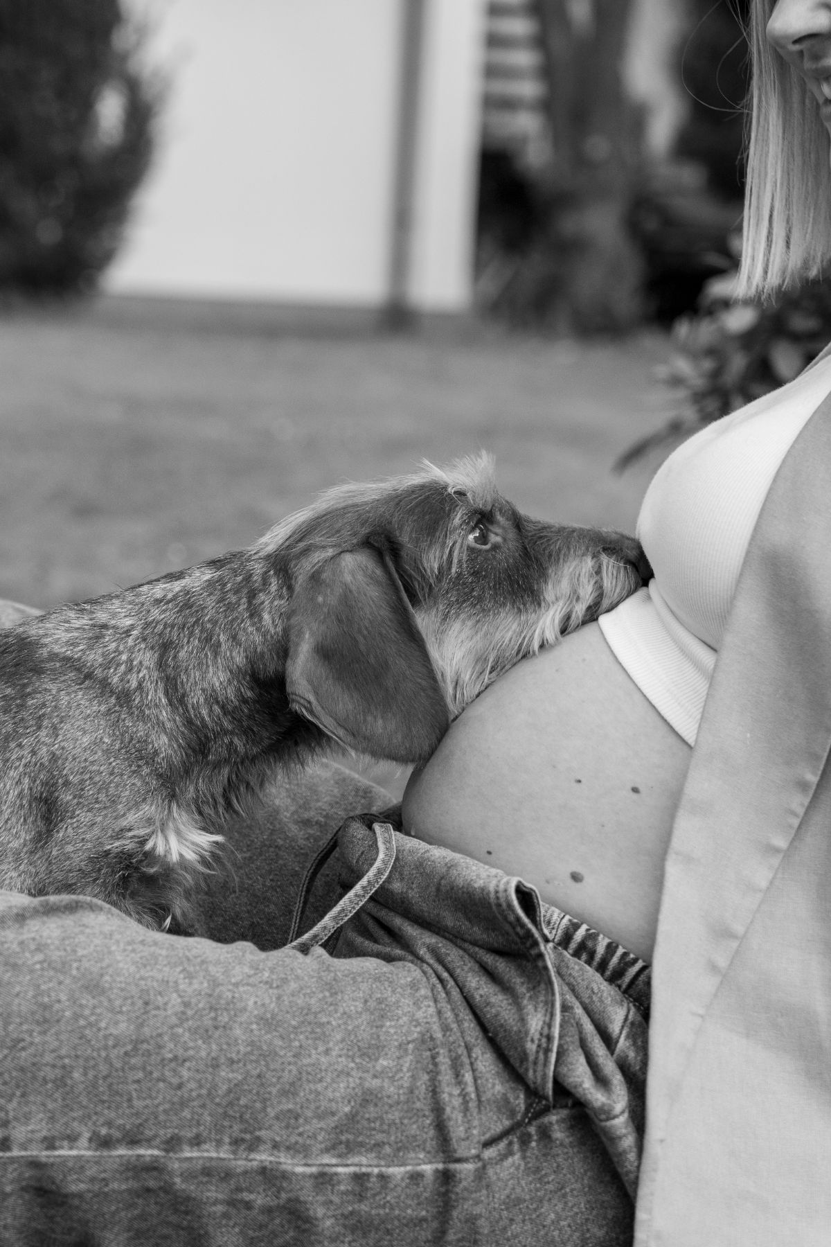 Ein Hund legt seinen Kopf sanft auf den Bauch einer schwangeren Frau im Freien.